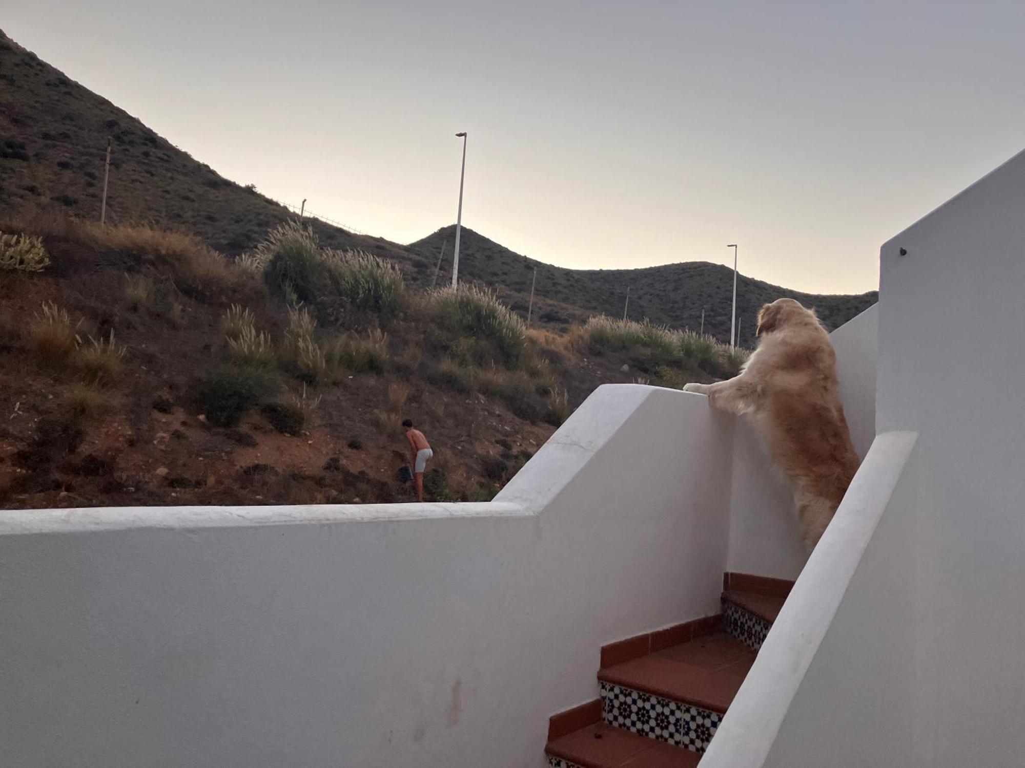 Agua 41 Villa San José Kültér fotó